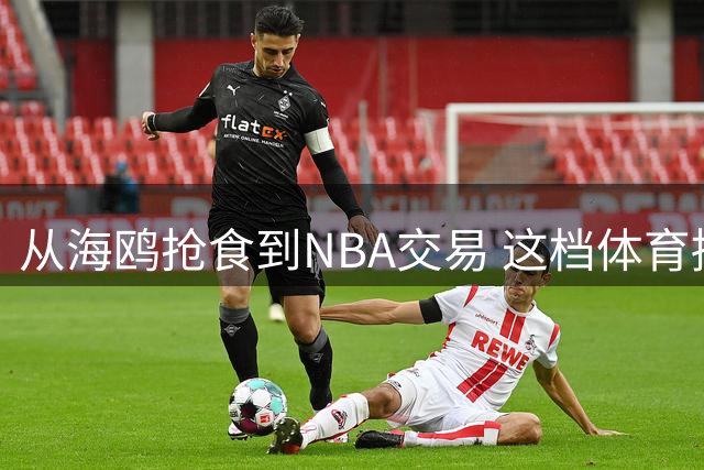 从海鸥抢食到NBA交易 这档体育播客为何总能天马行空？