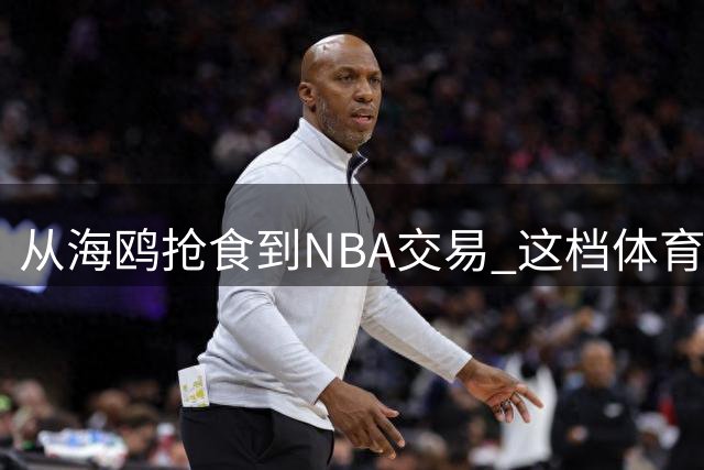 从海鸥抢食到NBA交易 这档体育播客为何总能天马行空？