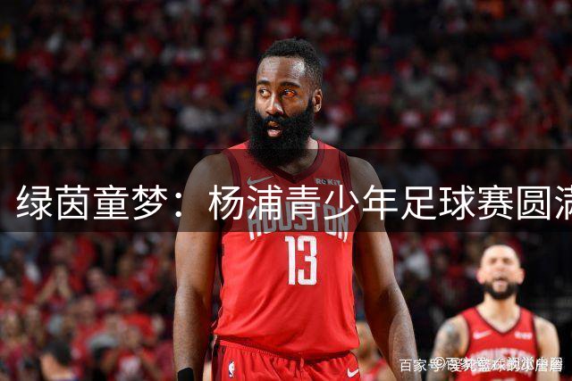 绿茵童梦：杨浦青少年足球赛圆满落幕