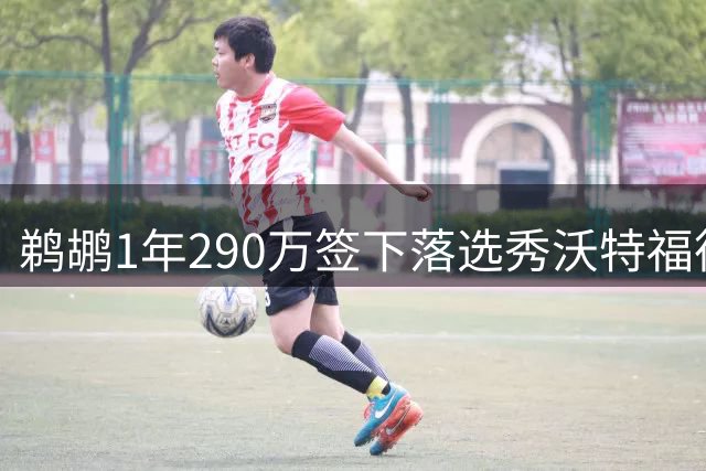 鹈鹕1年290万签下落选秀沃特福德 初始保障仅25万